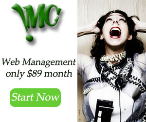 Website management, marketing, repairs.  IMC takes care of every aspect of your website allowing you to focus on running your business.